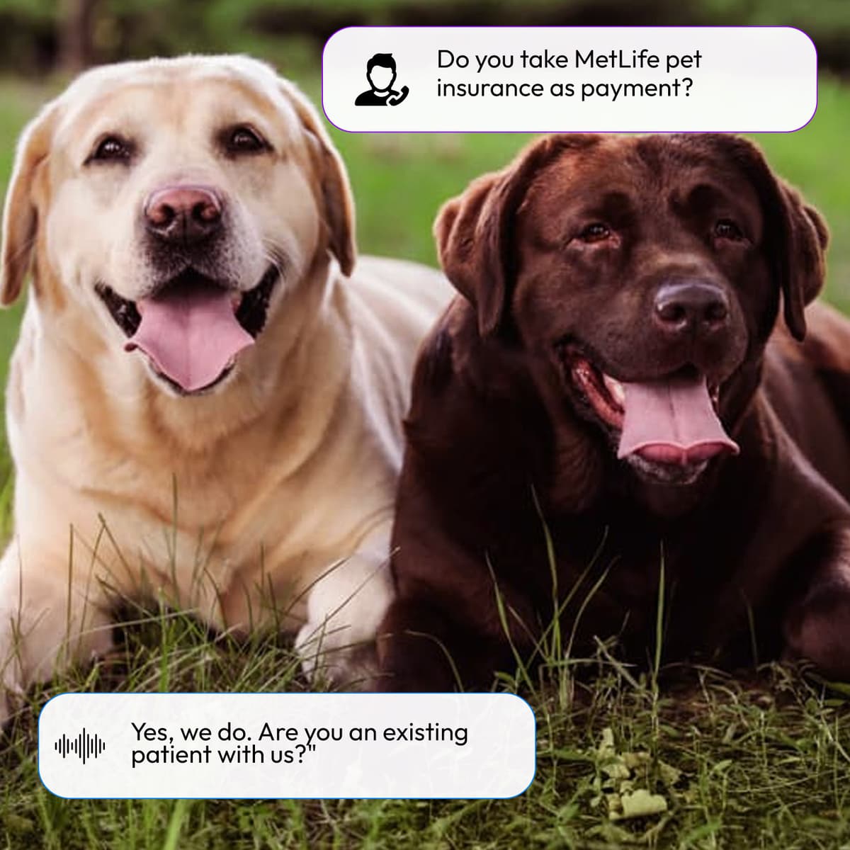 AI Answering Service for Veterinary Appointment Scheduling