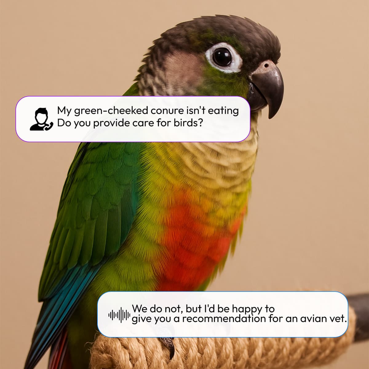 AI Answering Service for Veterinary Message Accuracy